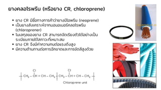 ยางคลอโรพรีน (หรือยาง CR, chloroprene)
▪ ยาง CR มีชื่อทางการค้าว่ายางนีโอพรีน (neoprene)
▪ เป็นยางสังเคราะห์จากมอนอเมอร์คลอโรพรีน
(chloroprener)
▪ โมเลกุลของยาง CR สามารถจัดเรียงตัวได้อย่างเป็น
ระเบียบภายใต้สภาวะที่เหมาะสม
▪ ยาง CR จึงมีค่าความทนต่อแรงดึงสูง
▪ มีความต้านทานต่อการฉีกขาดและการขัดสีสูงด้วย
 