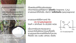 ยางในสภาพของเหลว
เรียกว่า น้ายาง
ยางธรรมชาติมาจากของเหลว
ของพืช
มีลักษณะเป็นของเหลวสีขาว
คล้ายน้านม เป็นคอลลอยด์
อนุภาคเล็ก มีตัวกลางเป็นน้า
เป็นพอลิเมอร์ที่มีมวลโมเลกุลสูง
เกิดจากโมโนเมอร์ที่เรียกว่า ไอโซพรีน (isoprene, C5H8)
ยางธรรมชาติที่เกิดขึ้น เรียกว่า โพลีไอโซพรีน (polyisoprene)
cis-1,4-polyisoprene
ยางธรรมชาติมีชื่อทางเคมี คือ
cis-1,4-polyisoprene
โดยที่ n มีค่าตั้งแต่ 15-20,000 หน่วย
เนื่องจากส่วนประกอบของยาง
ธรรมชาติเป็นไฮโดรคาร์บอนที่ไม่มีขั้ว
ยางธรรมชาติละลายได้ดีในตัวทาละลาย
ที่ไม่มีขั้ว เช่น เบนซีน เฮกเซน เป็นต้น
 