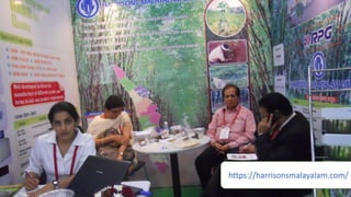 https://harrisonsmalayalam.com/
 