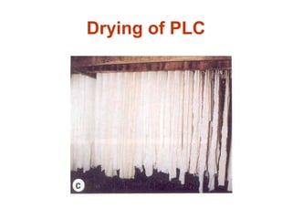 Drying of PLC
 