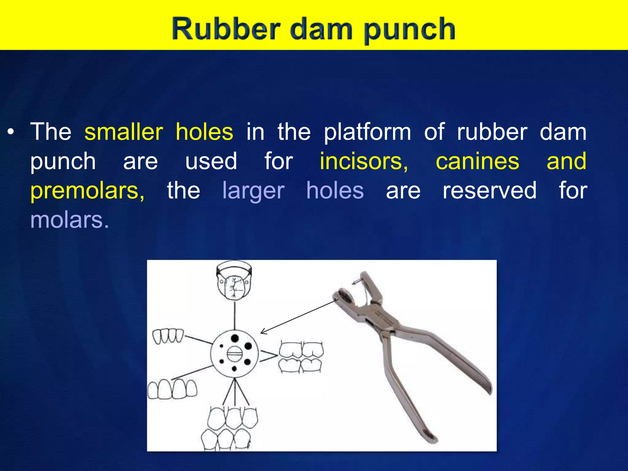 Rubber dam punchThe smaller holes in the platform of rubber dam punch are used for incisors, canines and premolars, the larger holes are reserved for molars.
