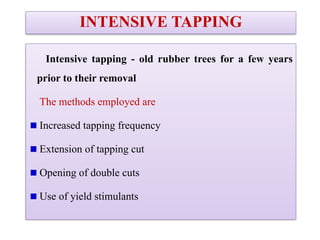 INTENSIVE TAPPING
Intensive tapping - old rubber trees for a few years
prior to their removal
The methods employed are
Increased tapping frequency
Extension of tapping cut
Opening of double cuts
Use of yield stimulants
 