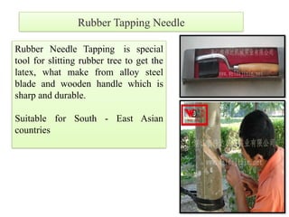 Rubber Needle Tapping is special
tool for slitting rubber tree to get the
latex, what make from alloy steel
blade and wooden handle which is
sharp and durable.
Suitable for South - East Asian
countries
Rubber Tapping Needle
 