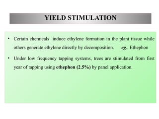 YIELD STIMULATION
• Certain chemicals induce ethylene formation in the plant tissue while
others generate ethylene directly by decomposition. eg., Ethephon
• Under low frequency tapping systems, trees are stimulated from first
year of tapping using ethephon (2.5%) by panel application.
 