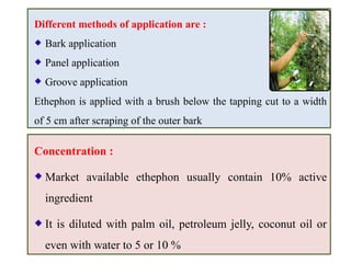 Concentration :
Market available ethephon usually contain 10% active
ingredient
It is diluted with palm oil, petroleum jelly, coconut oil or
even with water to 5 or 10 %
Different methods of application are :
Bark application
Panel application
Groove application
Ethephon is applied with a brush below the tapping cut to a width
of 5 cm after scraping of the outer bark
 