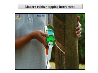 Modern rubber tapping instrument
 