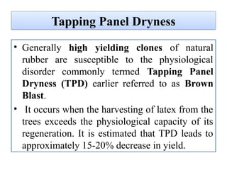 Tapping Panel Dryness
• Generally high yielding clones of natural
rubber are susceptible to the physiological
disorder commonly termed Tapping Panel
Dryness (TPD) earlier referred to as Brown
Blast.
• It occurs when the harvesting of latex from the
trees exceeds the physiological capacity of its
regeneration. It is estimated that TPD leads to
approximately 15-20% decrease in yield.
 