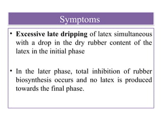 Symptoms
• Excessive late dripping of latex simultaneous
with a drop in the dry rubber content of the
latex in the initial phase
• In the later phase, total inhibition of rubber
biosynthesis occurs and no latex is produced
towards the final phase.
 