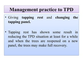Management practice to TPD
• Giving tapping rest and changing the
tapping panel.
• Tapping rest has shown some result in
reducing the TPD situation at least for a while
and when the trees are reopened on a new
panel, the trees may make full recovery.
 