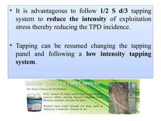 • It is advantageous to follow 1/2 S d/3 tapping
system to reduce the intensity of exploitation
stress thereby reducing the TPD incidence.
• Tapping can be resumed changing the tapping
panel and following a low intensity tapping
system.
 