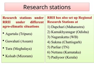 Research stations
Research stations under
RRII under different
agro-climatic situations
 Agartala (Tripura)
 Guwahati (Assam)
 Tura (Meghalaya)
 Kolsab (Mizoram)
RRII has also set up Regional
Research Stations at
1) Dapchari (Maharastra)
2) Kamakhyanagar (Odisha)
3) Nagarakatta (WB)
4) Sukma (Chattisgarh)
5) Parliar (TN)
6) Nettana (Karnataka)
7) Padiyoor (Kerala)
 