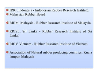 IRRI, Indonesia - Indonesian Rubber Research Institute.
Malaysian Rubber Board
RRIM, Malaysia - Rubber Research Institute of Malaysia.
RRISL, Sri Lanka - Rubber Research Institute of Sri
Lanka.
RRIV, Vietnam - Rubber Research Institute of Vietnam.
Association of Natural rubber producing countries, Kuala
lampur, Malaysia
 