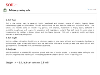 Opt pH : 4 – 6.5 , but can tolerate 3.8 to 8
SOIL :
 