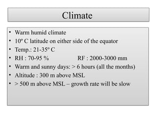 Climate
• Warm humid climate
• 10º C latitude on either side of the equator
• Temp.: 21-35º C
• RH : 70-95 % RF : 2000-3000 mm
• Warm and sunny days: > 6 hours (all the months)
• Altitude : 300 m above MSL
• > 500 m above MSL – growth rate will be slow
 