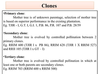 •Primary clone:
Mother tree is of unknown parentage, selection of mother tree
is based on superior performance in the existing plantation.
Eg. TJIR - I, G.T. I, G.I. 1, P.B. 86, P.R. 107 and P.B. 28/59
•Secondary clone:
Mother tree is evolved by controlled pollination between 2
primary clones.
Eg. RRIM 600 (TJIR I x PB 86), RRIM 628 (TJIR 1 X RRIM 527)
and RRII 105 (TJIR I x GT – I)
•Tertiary clone:
Mother tree is evolved by controlled pollination in which at
least one or both parents are secondary clones.
Eg. RRIM 703 (RRIM 600 x RRIM 500)
Clones
 
