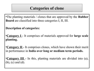 •The planting materials / clones that are approved by the Rubber
Board are classified into three categories I, II, III.
Description of categories:
•Category I - It comprises of materials approved for large scale
planting.
•Category II - It comprises clones, which have shown their merit
in performance in India over long or medium term periods.
•Category III - In this, planting materials are divided into (a),
(b), (c) and (d).
Categories of clone
 