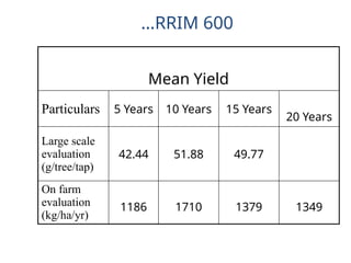 Mean Yield
Particulars 5 Years 10 Years 15 Years
20 Years
Large scale
evaluation
(g/tree/tap)
42.44 51.88 49.77
On farm
evaluation
(kg/ha/yr)
1186 1710 1379 1349
…RRIM 600
 