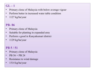 GL – 1
• Primary clone of Malaysia with below average vigour
• Perform better in increased water table condition
• 1127 kg/ha/year
PB- 86
• Primary clone of Malaysia
• Suitable for planting in expanded area
• Perform s good in Kanyakumari district
• 1129 kg/ha/year
PB 5 / 51
• Primary clone of Malaysia
• PB 56 × PB 24
• Resistance to wind damage
• 1514 kg/ha/year
 