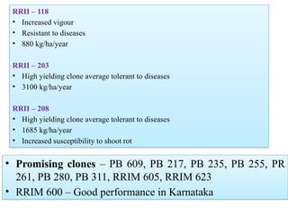 RRII – 118
• Increased vigour
• Resistant to diseases
• 880 kg/ha/year
RRII – 203
• High yielding clone average tolerant to diseases
• 3100 kg/ha/year
RRII – 208
• High yielding clone average tolerant to diseases
• 1685 kg/ha/year
• Increased susceptibility to shoot rot
• Promising clones – PB 609, PB 217, PB 235, PB 255, PR
261, PB 280, PB 311, RRIM 605, RRIM 623
• RRIM 600 – Good performance in Karnataka
 