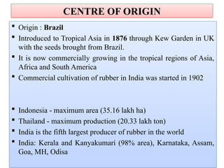  Origin : Brazil
 Introduced to Tropical Asia in 1876 through Kew Garden in UK
with the seeds brought from Brazil.
 It is now commercially growing in the tropical regions of Asia,
Africa and South America
 Commercial cultivation of rubber in India was started in 1902
 Indonesia - maximum area (35.16 lakh ha)
 Thailand - maximum production (20.33 lakh ton)
 India is the fifth largest producer of rubber in the world
 India: Kerala and Kanyakumari (98% area), Karnataka, Assam,
Goa, MH, Odisa
CENTRE OF ORIGIN
 