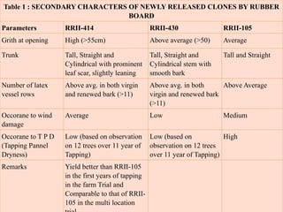 Table 1 : SECONDARY CHARACTERS OF NEWLY RELEASED CLONES BY RUBBER
BOARD
Parameters RRII-414 RRII-430 RRII-105
Grith at opening High (>55cm) Above average (>50) Average
Trunk Tall, Straight and
Cylindrical with prominent
leaf scar, slightly leaning
Tall, Straight and
Cylindrical stem with
smooth bark
Tall and Straight
Number of latex
vessel rows
Above avg. in both virgin
and renewed bark (>11)
Above avg. in both
virgin and renewed bark
(>11)
Above Average
Occorane to wind
damage
Average Low Medium
Occorane to T P D
(Tapping Pannel
Dryness)
Low (based on observation
on 12 trees over 11 year of
Tapping)
Low (based on
observation on 12 trees
over 11 year of Tapping)
High
Remarks Yield better than RRII-105
in the first years of tapping
in the farm Trial and
Comparable to that of RRII-
105 in the multi location
 