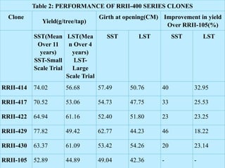 Table 2: PERFORMANCE OF RRII-400 SERIES CLONES
Clone
Yield(g/tree/tap)
Girth at opening(CM) Improvement in yield
Over RRII-105(%)
SST(Mean
Over 11
years)
SST-Small
Scale Trial
LST(Mea
n Over 4
years)
LST-
Large
Scale Trial
SST LST SST LST
RRII-414 74.02 56.68 57.49 50.76 40 32.95
RRII-417 70.52 53.06 54.73 47.75 33 25.53
RRII-422 64.94 61.16 52.40 51.80 23 23.25
RRII-429 77.82 49.42 62.77 44.23 46 18.22
RRII-430 63.37 61.09 53.42 54.26 20 23.14
RRII-105 52.89 44.89 49.04 42.36 - -
 