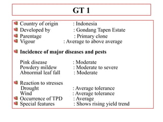 GT 1
Country of origin : Indonesia
Developed by : Gondang Tapen Estate
Parentage : Primary clone
Vigour : Average to above average
Incidence of major diseases and pests
Pink disease : Moderate
Powdery mildew : Moderate to severe
Abnormal leaf fall : Moderate
Reaction to stresses
Drought : Average tolerance
Wind : Average tolerance
Occurrence of TPD : Average
Special features : Shows rising yield trend
 