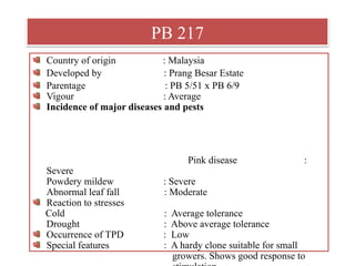 PB 217
Country of origin : Malaysia
Developed by : Prang Besar Estate
Parentage : PB 5/51 x PB 6/9
Vigour : Average
Incidence of major diseases and pests
Pink disease :
Severe
Powdery mildew : Severe
Abnormal leaf fall : Moderate
Reaction to stresses
Cold : Average tolerance
Drought : Above average tolerance
Occurrence of TPD : Low
Special features : A hardy clone suitable for small
growers. Shows good response to
 