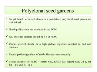 Polyclonal seed gardens
• To get benefit of mixed clones in a population, polyclonal seed garden are
maintained.
 Good quality seeds are produced in the PCSG
 No. of clones selected should be 3-6 in PCSG
 Clones selected should be a high yielder, vigorous, resistant to pest and
diseases
 Should produce good no. of seeds, flowers simultaneously
 Clones suitable for PCSG – RRIM 600, RRIM 605, RRIM 623, GT-1, PB
5/51, PB 28/59, Tjir-1
 