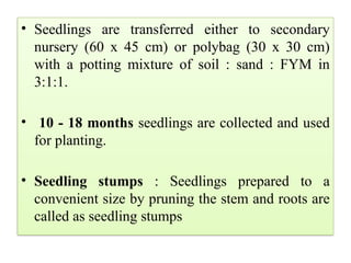 • Seedlings are transferred either to secondary
nursery (60 x 45 cm) or polybag (30 x 30 cm)
with a potting mixture of soil : sand : FYM in
3:1:1.
• 10 - 18 months seedlings are collected and used
for planting.
• Seedling stumps : Seedlings prepared to a
convenient size by pruning the stem and roots are
called as seedling stumps
 