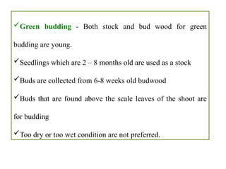 Green budding - Both stock and bud wood for green
budding are young.
Seedlings which are 2 – 8 months old are used as a stock
Buds are collected from 6-8 weeks old budwood
Buds that are found above the scale leaves of the shoot are
for budding
Too dry or too wet condition are not preferred.
 