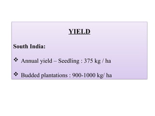 YIELD
South India:
 Annual yield – Seedling : 375 kg / ha
 Budded plantations : 900-1000 kg/ ha
 