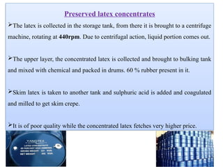 Preserved latex concentrates
The latex is collected in the storage tank, from there it is brought to a centrifuge
machine, rotating at 440rpm. Due to centrifugal action, liquid portion comes out.
The upper layer, the concentrated latex is collected and brought to bulking tank
and mixed with chemical and packed in drums. 60 % rubber present in it.
Skim latex is taken to another tank and sulphuric acid is added and coagulated
and milled to get skim crepe.
It is of poor quality while the concentrated latex fetches very higher price.
 