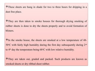 These sheets are hung in shade for two to three hours for dripping in a
dust free place.
They are then taken to smoke houses for thorough drying smoking of
rubber sheets is done to dry the sheets properly and to avoid formation of
blisters.
In the smoke house, the sheets are smoked at a low temperature of 48-
50o
C with fairly high humidity during the first day subsequently during 2nd
to 4th
day the temperature being 68o
C with low relative humidity.
They are taken out, graded and packed. Such products are known as
smoked sheets or dry ribbed sheet rubber.
 