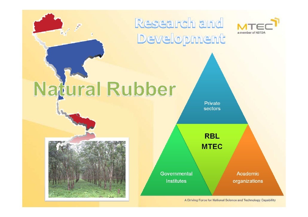 Rubbers Lab