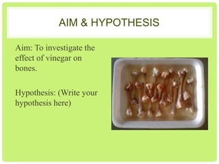 AIM & HYPOTHESIS
Aim: To investigate the
effect of vinegar on
bones.

Hypothesis: (Write your
hypothesis here)

 