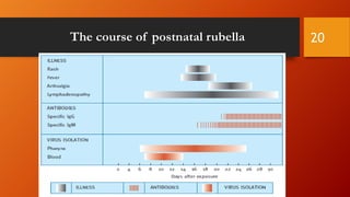 The course of postnatal rubella 20
 