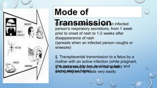 Rubella Infectivity Rubella | PPTX