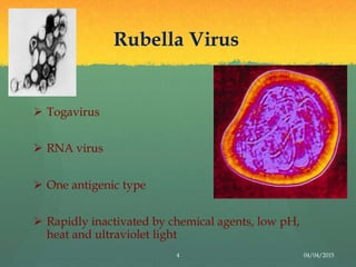 Rubella | PPTX