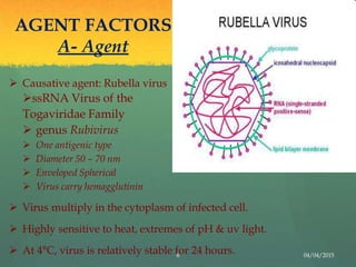 AGENT FACTORS
A- Agent
 Causative agent: Rubella virus
ssRNA Virus of the
Togaviridae Family
 genus Rubivirus
 One antigenic type
 Diameter 50 – 70 nm
 Enveloped Spherical
 Virus carry hemagglutinin
 Virus multiply in the cytoplasm of infected cell.
 Highly sensitive to heat, extremes of pH & uv light.
 At 4°C, virus is relatively stable for 24 hours.6 04/04/2015
 