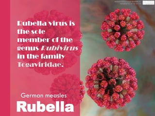 Rubella
German measles
Rubella virus is
the sole
member of the
genus Rubivirus
in the family
Togaviridae.
Attribution-NonCommercial-ShareAlike 4.0
International (CC BY-NC-SA 4.0)
 