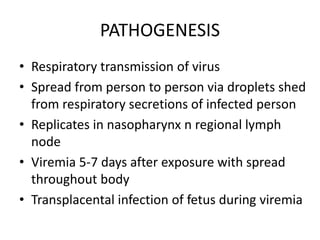PATHOGENESIS
• Respiratory transmission of virus
• Spread from person to person via droplets shed
from respiratory secretions of infected person
• Replicates in nasopharynx n regional lymph
node
• Viremia 5-7 days after exposure with spread
throughout body
• Transplacental infection of fetus during viremia
 