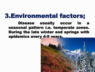 3.Environmental factors;
Disease usually occur in a
seasonal pattern i.e. temperate zones.
During the late winter and springs with
epidemics every 4-9 years.
 