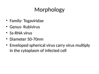 Rubella virus morphology, pathogenesis PPT.pptx