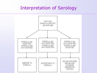 Interpretation of Serology
 