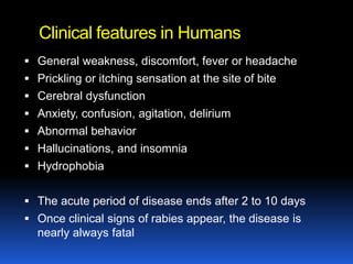 Clinical features in Humans
 General weakness, discomfort, fever or headache
 Prickling or itching sensation at the site of bite
 Cerebral dysfunction
 Anxiety, confusion, agitation, delirium
 Abnormal behavior
 Hallucinations, and insomnia
 Hydrophobia


 The acute period of disease ends after 2 to 10 days
 Once clinical signs of rabies appear, the disease is
  nearly always fatal
 