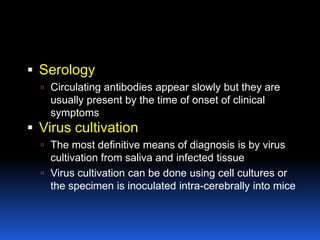  Serology
   Circulating antibodies appear slowly but they are
    usually present by the time of onset of clinical
    symptoms
 Virus cultivation
   The most definitive means of diagnosis is by virus
    cultivation from saliva and infected tissue
   Virus cultivation can be done using cell cultures or
    the specimen is inoculated intra-cerebrally into mice
 