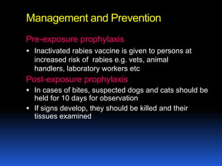 Management and Prevention
Pre-exposure prophylaxis
 Inactivated rabies vaccine is given to persons at
  increased risk of rabies e.g. vets, animal
  handlers, laboratory workers etc
Post-exposure prophylaxis
 In cases of bites, suspected dogs and cats should be
  held for 10 days for observation
 If signs develop, they should be killed and their
  tissues examined
 