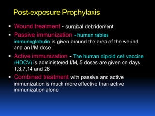 Post-exposure Prophylaxis
 Wound treatment - surgical debridement
 Passive immunization - human rabies
  immunoglobulin is given around the area of the wound
  and an I/M dose
 Active immunization - The human diploid cell vaccine
  (HDCV) is administered I/M, 5 doses are given on days
  1,3,7,14 and 28
 Combined treatment with passive and active
  immunization is much more effective than active
  immunization alone
 