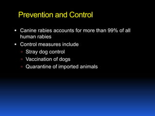 Prevention and Control
 Canine rabies accounts for more than 99% of all
  human rabies
 Control measures include
   Stray dog control
   Vaccination of dogs
   Quarantine of imported animals
 